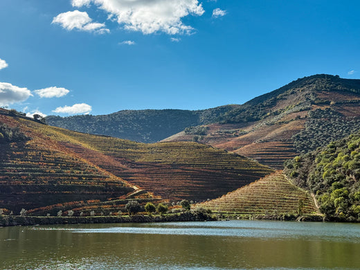 Douro Vally in Portugal