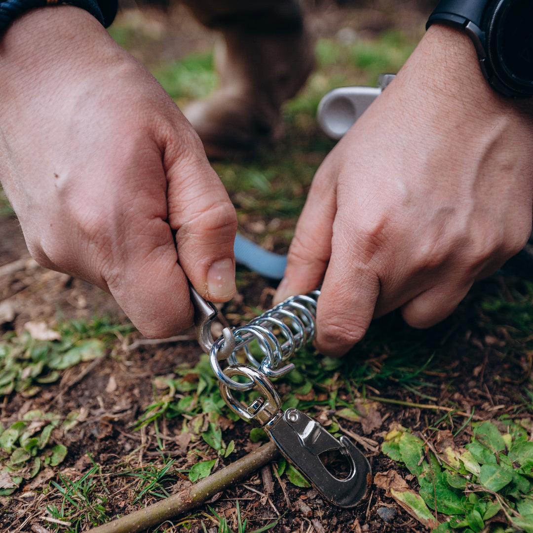 PetPeg 2.0 • Single Item (HP63)