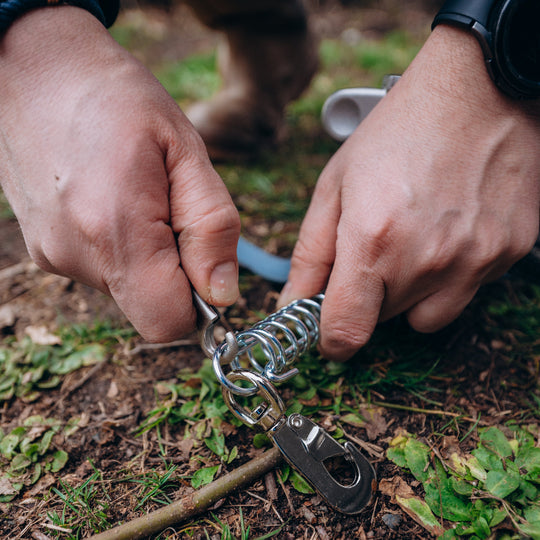 PetPeg 2.0 • Single Item (HP63)