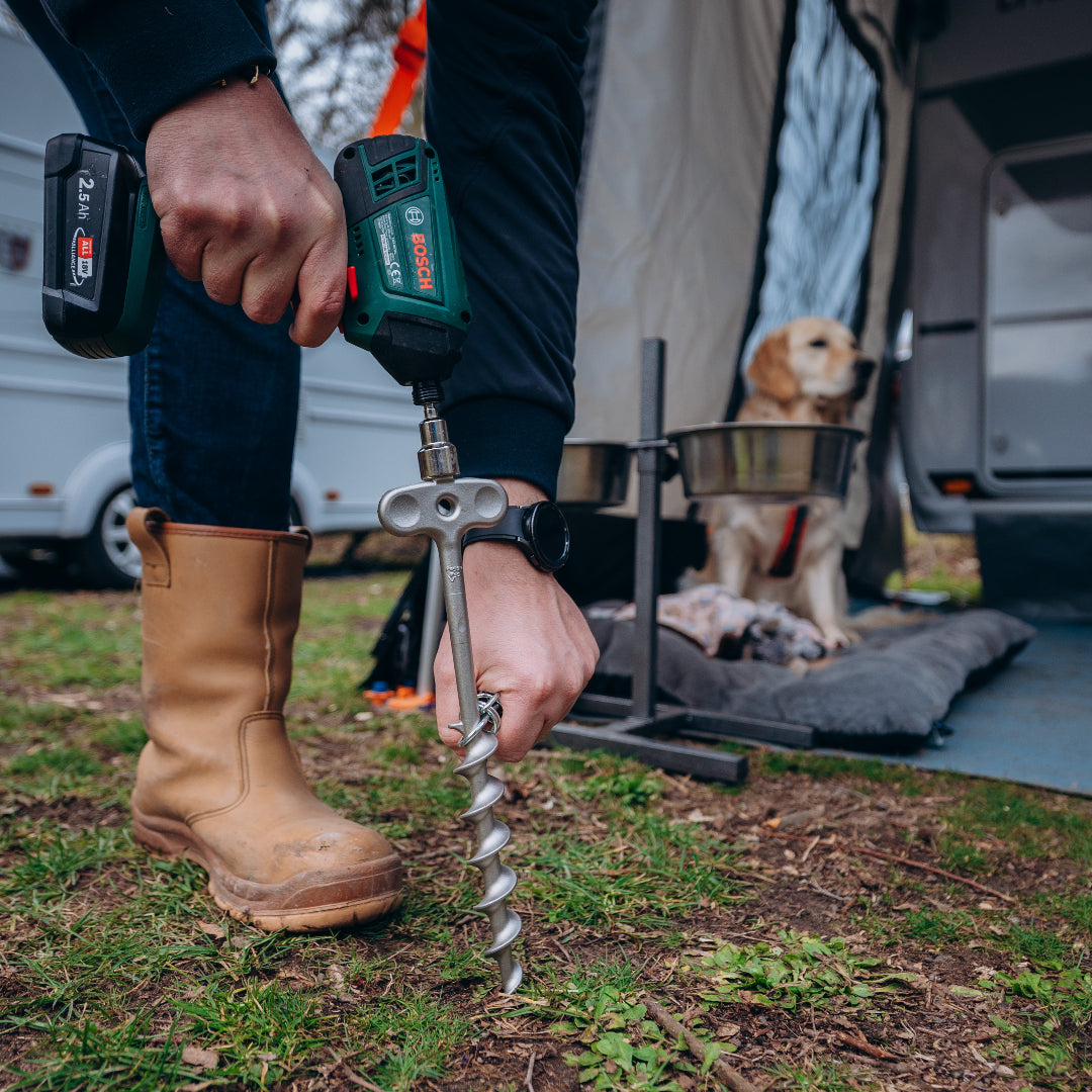 PetPeg 2.0 • Single Item (HP63)