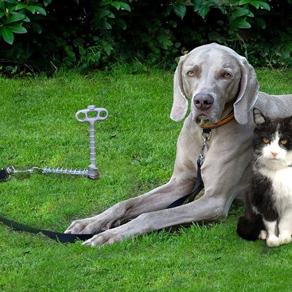 PetPeg • Single item (HP62) • Ground anchor with shock absorber for your beloved Pet!