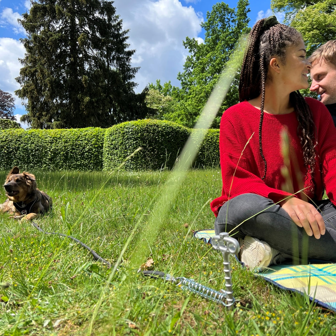 PetPeg • Single item (HP62) • Ground anchor with shock absorber for your beloved Pet!