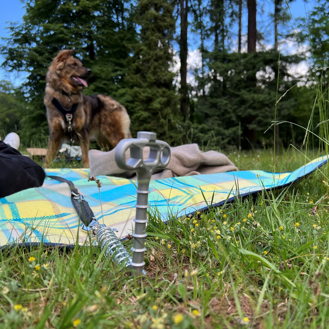 PetPeg • Single item (HP62) • Ground anchor with shock absorber for your beloved Pet!