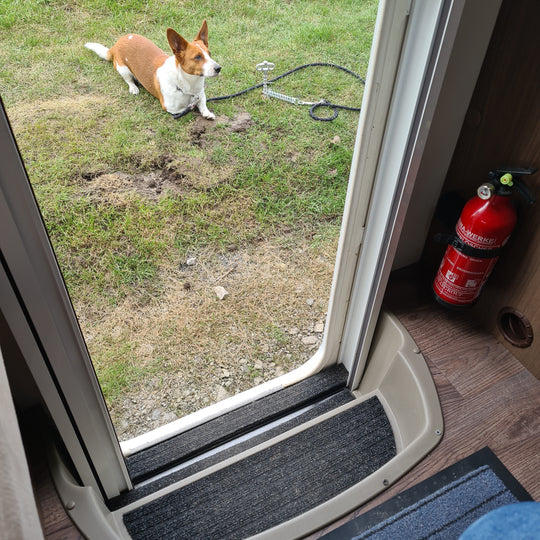 PetPeg • Single item (HP62) • Ground anchor with shock absorber for your beloved Pet!